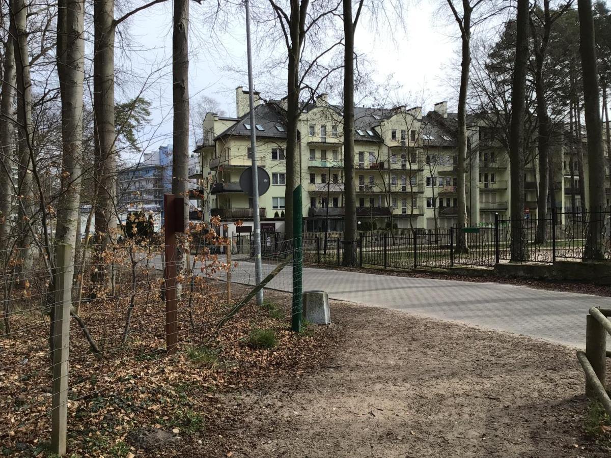 Anna Apartament ミエンジズドロイェ エクステリア 写真