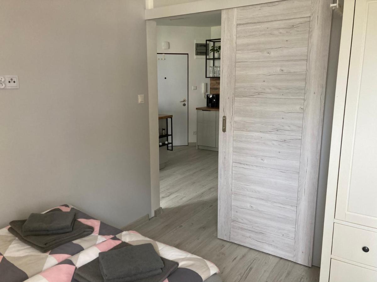 Anna Apartament ミエンジズドロイェ エクステリア 写真